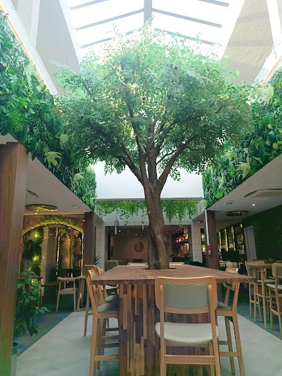 Birds And Twigs, Café à Reims