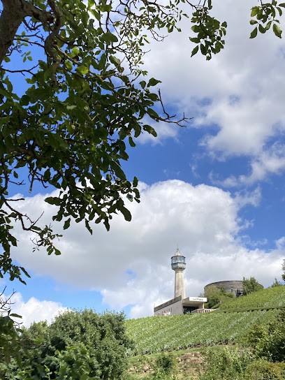 Amicale Des Comptoirs Français, Café à Verzenay