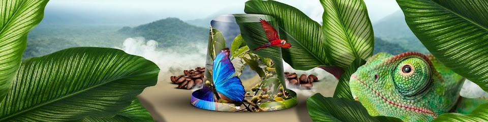 Litha Espresso, Torréfacteur de Café à Rodez