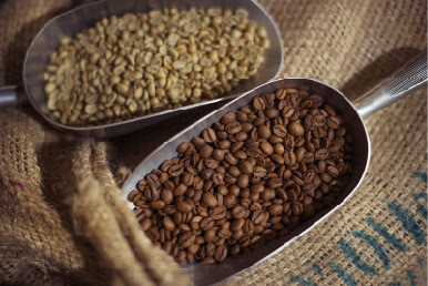 Les Cafés Ciloo Torréfacteur De Café à Cuinzier
