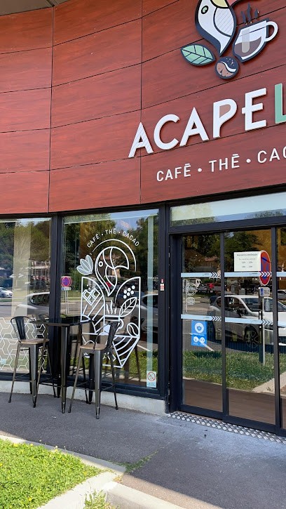 Acapella torréfaction Café Thé, Torréfacteur de Café à Cornebarrieu