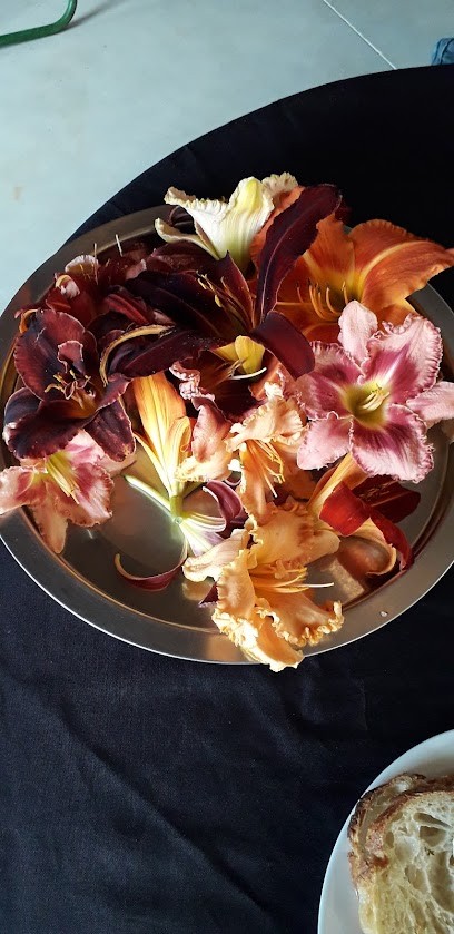 Le P'Tit Moutas, Café à Sanilhac-Sagriès