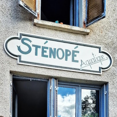 Sténopé Aquatique/ Café Associatif/ Tiers-lieu, Café à Saint-Just-en-Chevalet