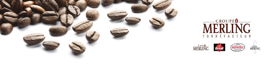 Agence Groupe Merling - La Rochelle, Torréfacteur de Café à Périgny