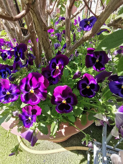 Salon de Thé, Café à Giverny