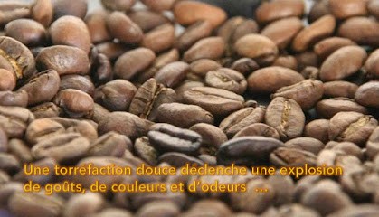 Café Des Îles, Torréfacteur de Café à Gauriaguet