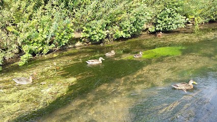 Space café, Café à Montivilliers