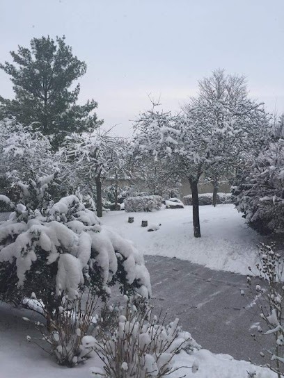 Café du Hainaut, Café à Douchy-les-Mines