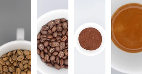 CAFAR CAFE, Torréfacteur de Café à Arles