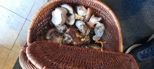 Bar Du Rivage, Café à Vrigne aux Bois