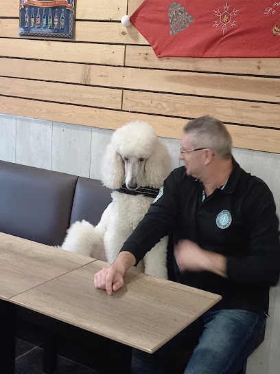 Café du Centre, Café à Bailleul